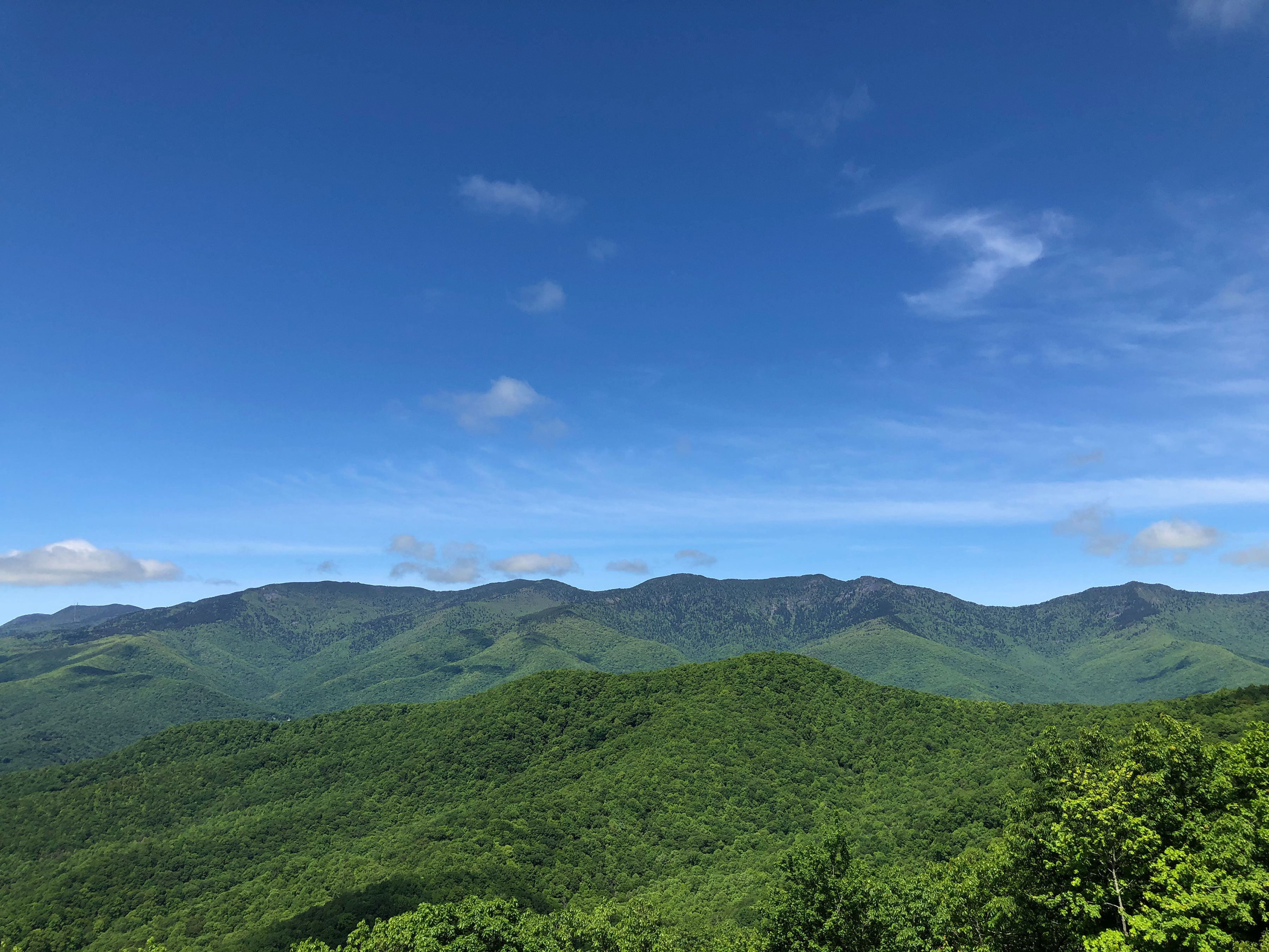 View Black Mountain Overlook