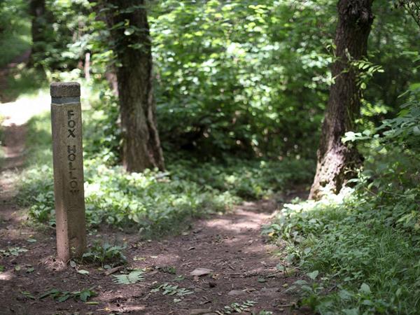 A color photograph of a concrete trail post at a fork in a narrow forested trail.