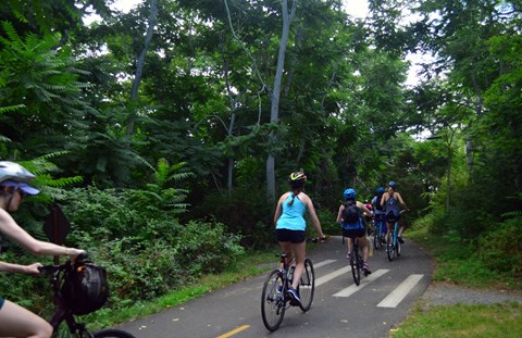Bicyclists with helmets ride along a paved wooded trail lined with trees.
