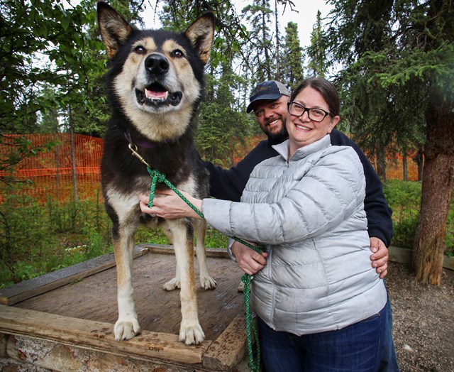 A man and a woman smile as they pet a black and brown dog. The dog is standing on a log dog house.