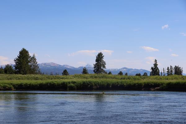 A river flows along a bank covered in tall grasses. A mountain range rises in the distance.