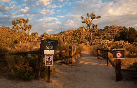 Sign for the trailhead for the West Side Loop with mountains and desert vegetation in the background