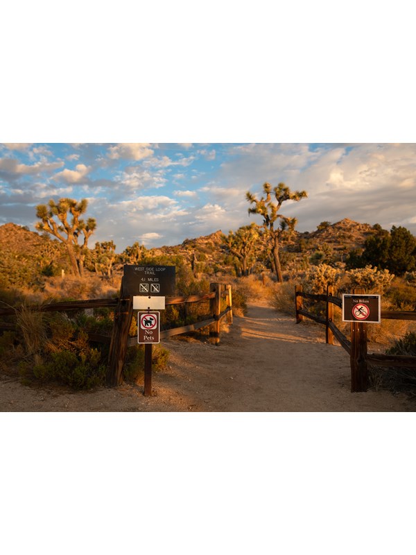 Sign for the trailhead for the West Side Loop with mountains and desert vegetation in the background