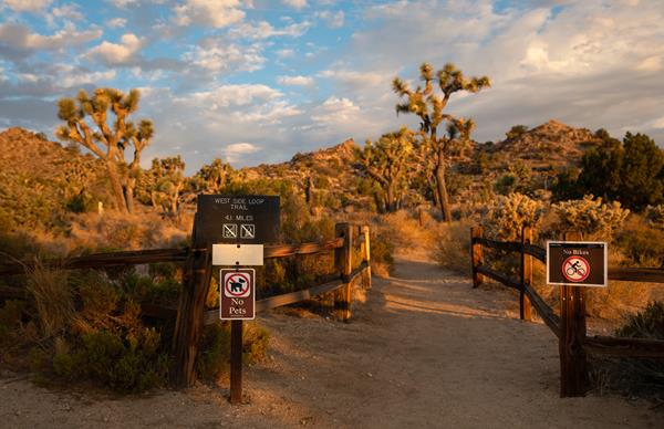 Sign for the trailhead for the West Side Loop with mountains and desert vegetation in the background