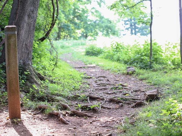 A trail post next to a trail leading out of a forest and into an open clearing.