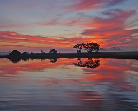 red sunrise through trees over water