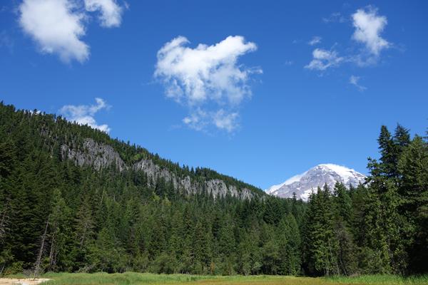 A meadow surrounded by forest next to a rocky ridge, with a glaciated peak in the distance.