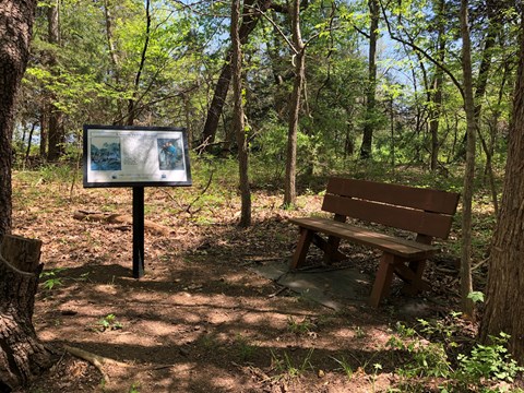 Sun shines through trees onto a trail exhibit sign and a bench.