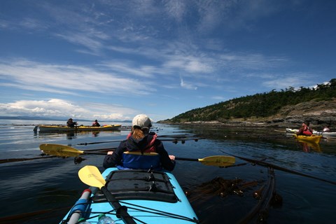 Kayaking in the Salish Sea