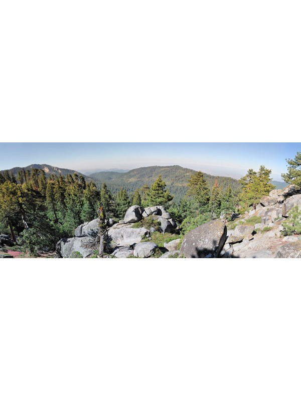 Take a Short Hike to Buena Vista Peak