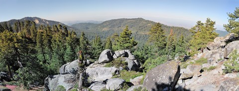 Panorama from the Buena Vista Peak summit area: granite boulders and forested ridges stretching toward the distant valley