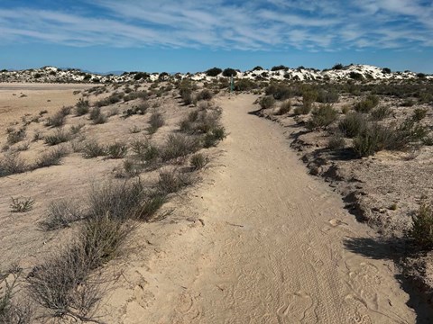 A dirt trail in the desert floor
