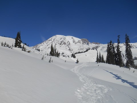 Snowshoe tracks lead across a snowy slope towards a glaciated peak against a blue sky.