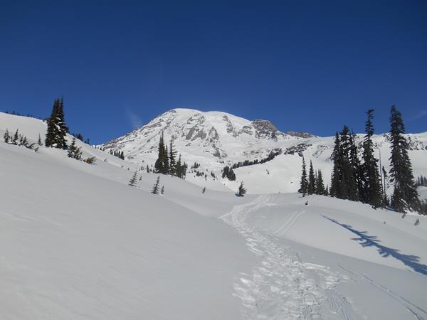 Snowshoe tracks lead across a snowy slope towards a glaciated peak against a blue sky.