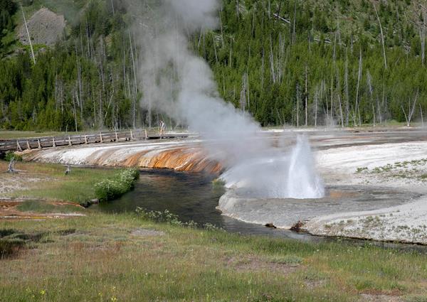 A geyser erupts on the edge of a stream in hydrothermal basin.
