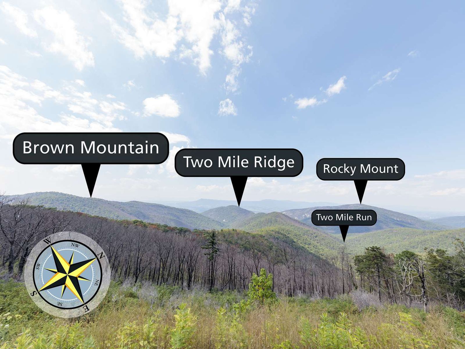 Two Mile Run Overlook