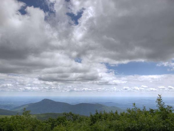 A view over a line of trees with mountains descending into a rural valley below.