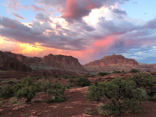 Juniper trees in the foreground with distant red-brown cliffs under a colorful cloudy sunset sky