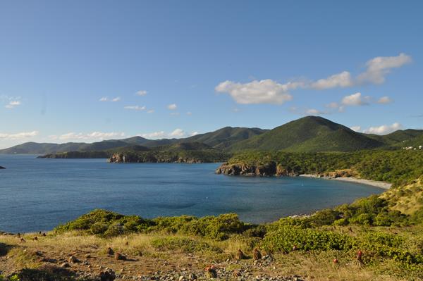 View from Ram Head to Salt Pond Bay