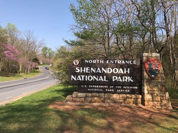 Sign to the left of a curving road for leading to the entrance station of Shenandoah National Park.