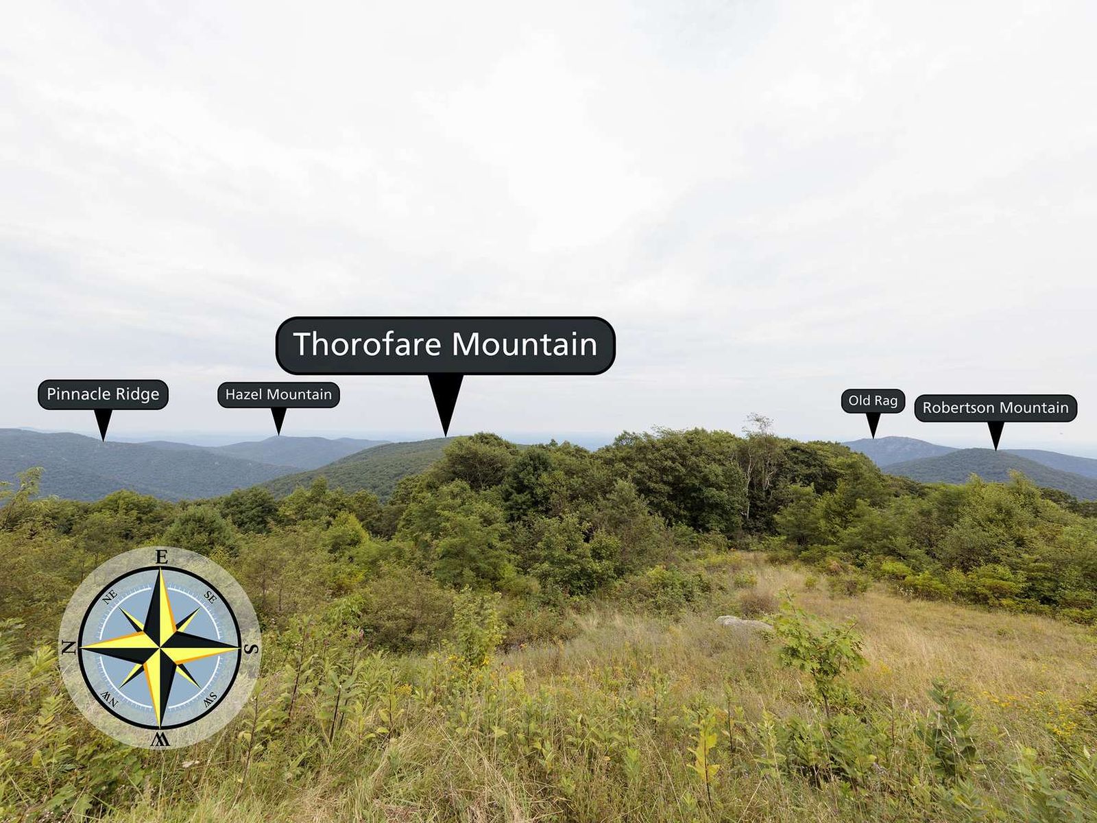 Thorofare Mountain Overlook