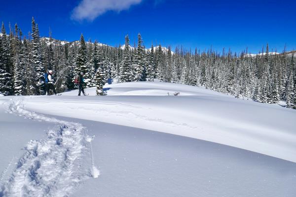 There is deep snow in the high elevation areas of RMNP, great for snowshoeing