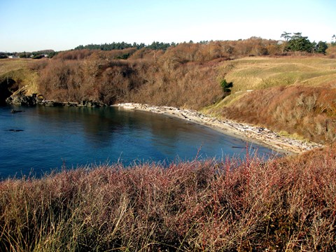 Grandma's Cove at American Camp
