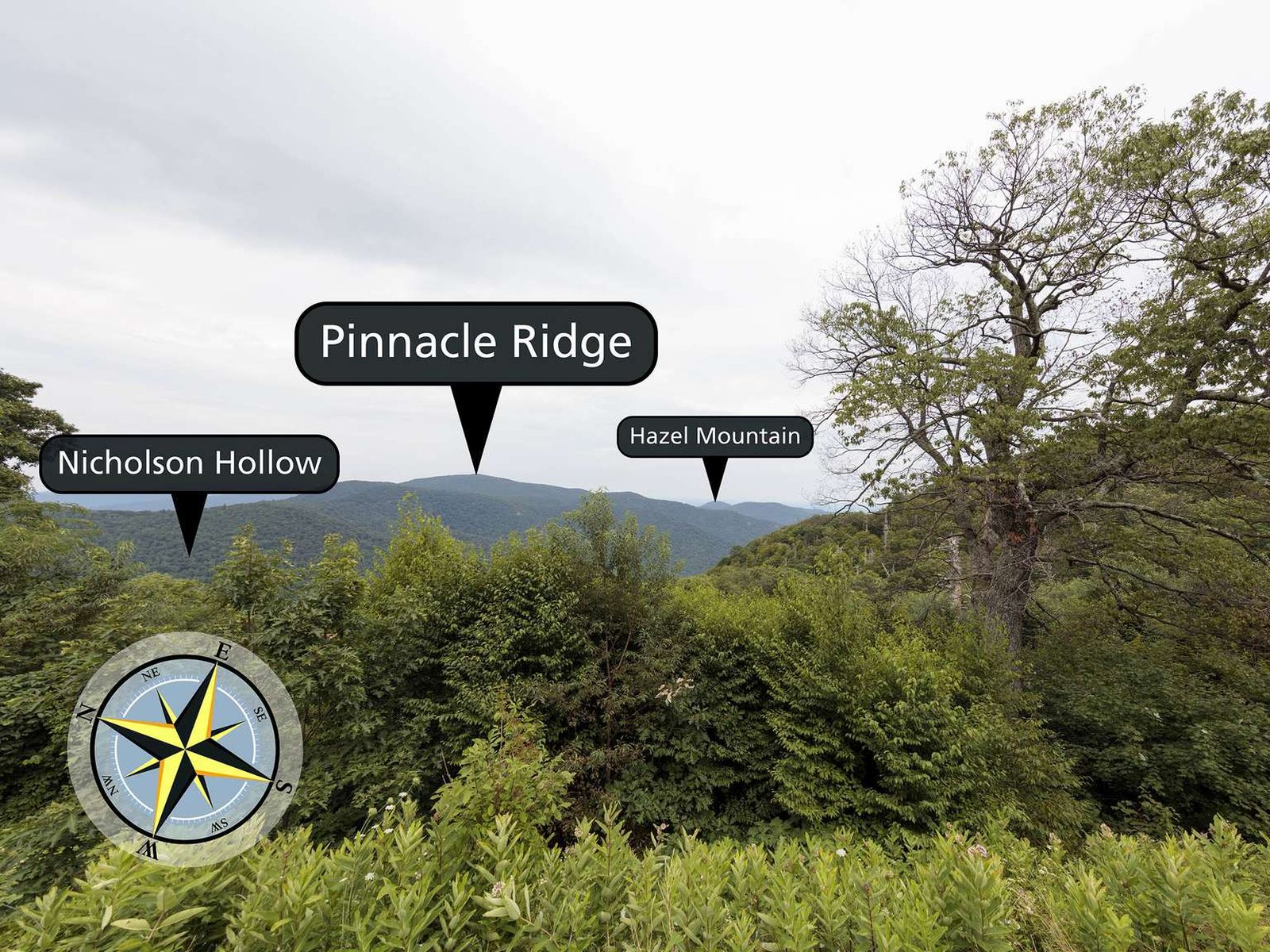 Hemlock Springs Overlook