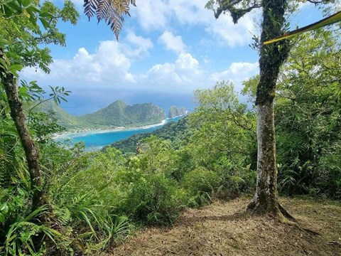 Outdoors; view of water below, mountains behind, framed with lush greenery.