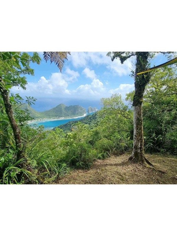 Outdoors; view of water below, mountains behind, framed with lush greenery.