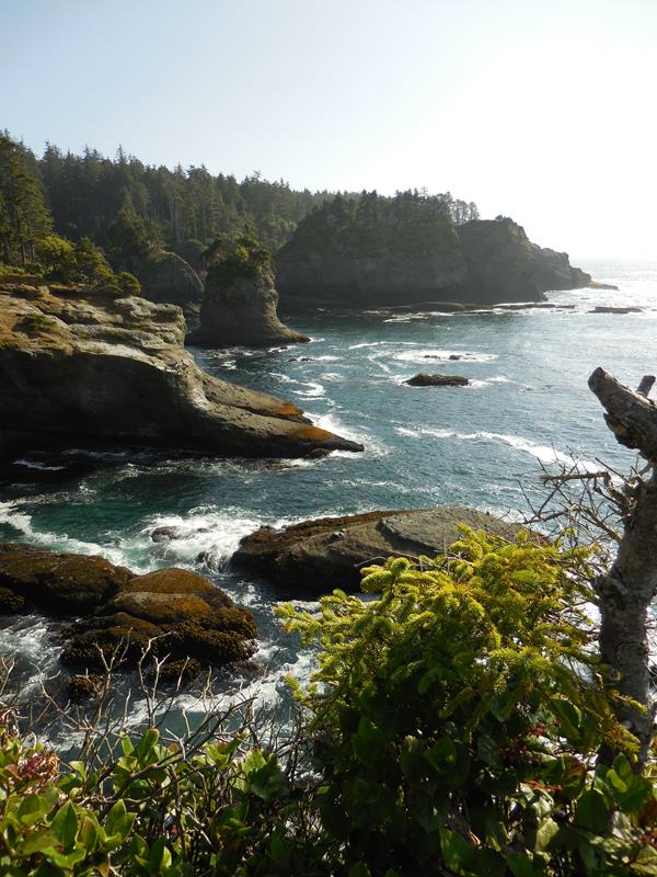 A rocky coast with lush green cliffs