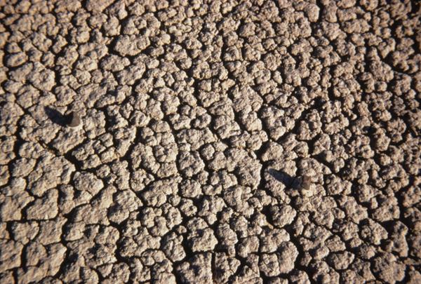 A cracked area of grey clay.