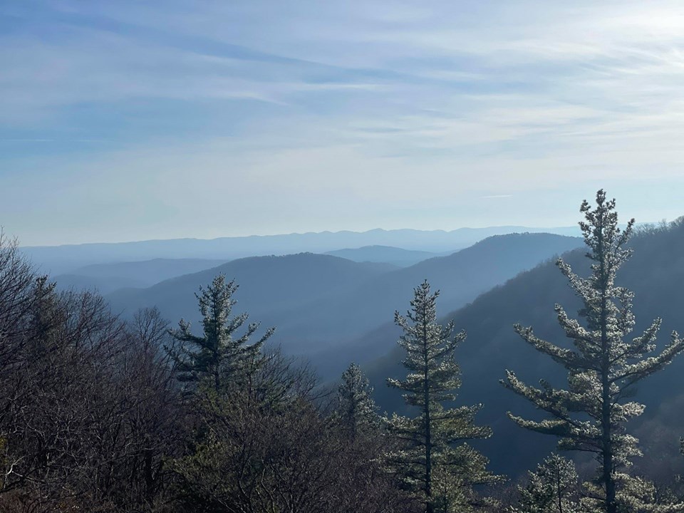 A long range view of rounded mountain tops with the narrow tops of evergreen trees directly here.