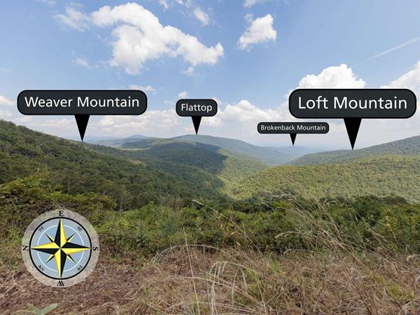 A view with grass in the foreground and mountains in the distance.