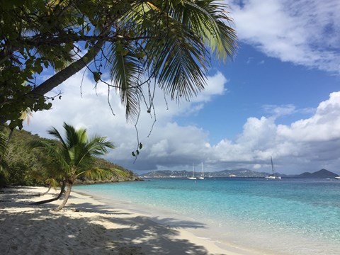 Salomon Bay