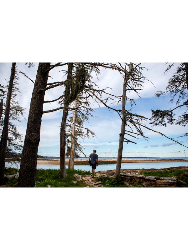 Man stands at next to trees on shoreline
