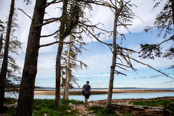 Man stands at next to trees on shoreline
