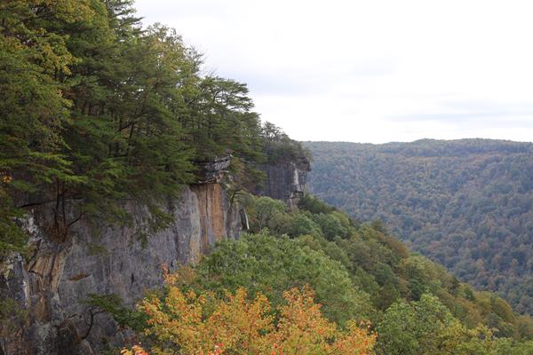 Views of the rock face from Endless Wall Trail