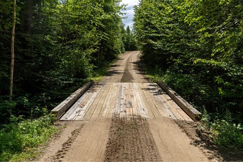 A small wooden bridge connects the rocky dirt road through the forest into the distance.