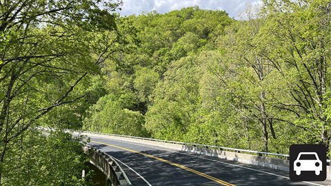 A road winds through dense trees.