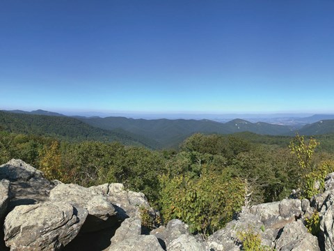 A sweeping panoramic view from a rock cliff over green trees to blue mountains in the background.