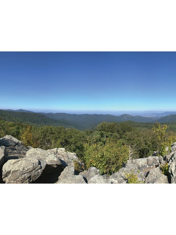 A sweeping panoramic view from a rock cliff over green trees to blue mountains in the background.