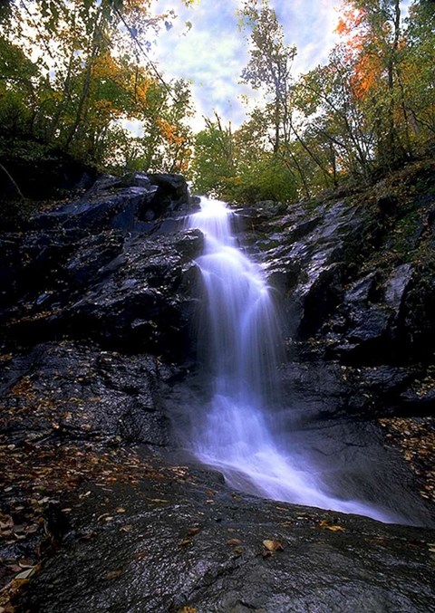 A waterfall cascades onto large gray rocks, under a fall foliage of trees.