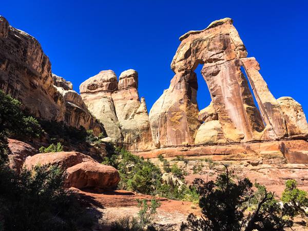 A large sandstone arch looms across the skyline on a bright, sunny blue sky day.