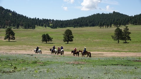 a group of people on horses riding into the prairie
