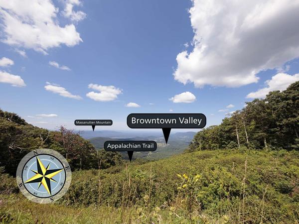 View overlooking brush into narrow view of valley below.