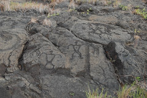 Pu‘u Loa Petroglyphs