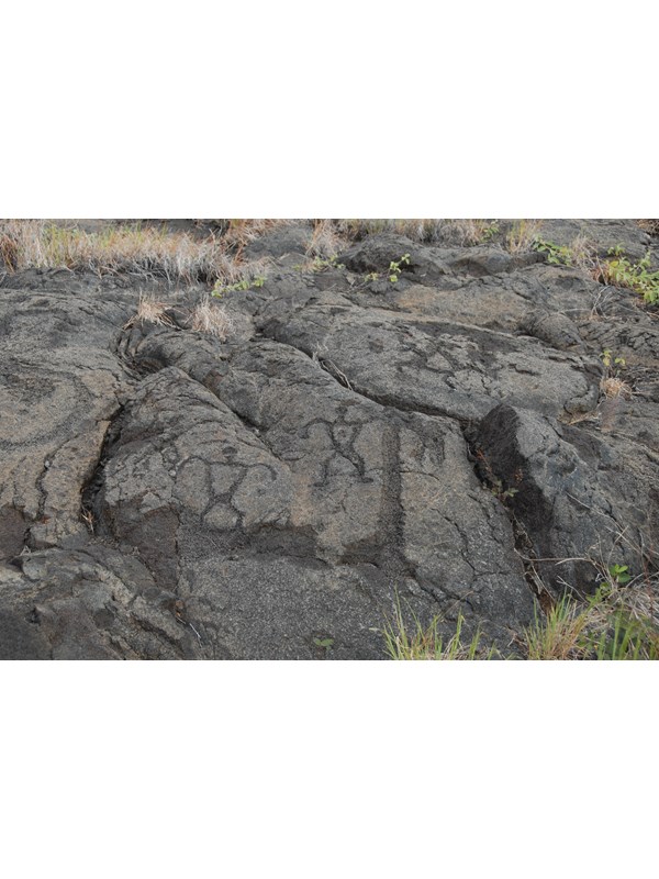 Pu‘u Loa Petroglyphs
