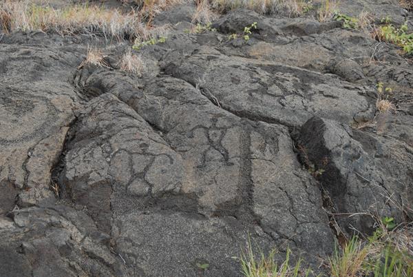 Pu‘u Loa Petroglyphs