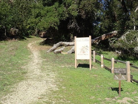 A dirt path paralleling a split rail fence leads past the Kule Loklo Trailhead sign into the woods.